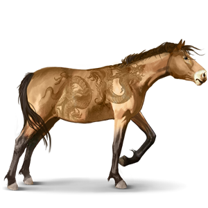 Misaki pony